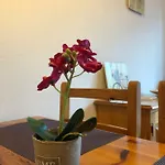S'arenella Apartamento