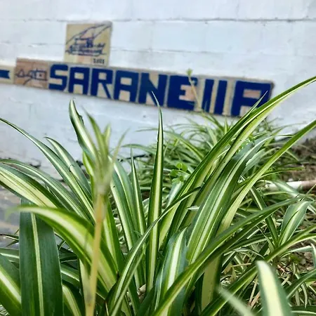 S'arenella