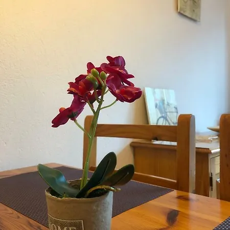S'arenella Lägenhet